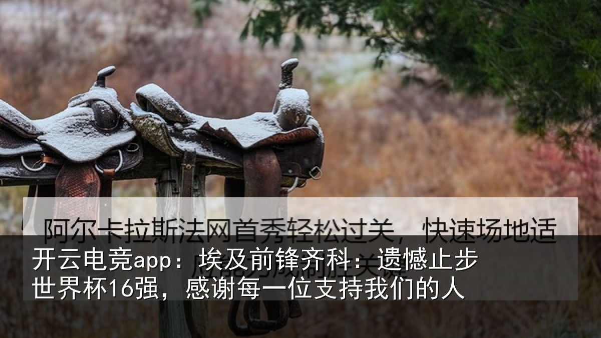 开云电竞app：埃及相关情况世界相关情况持我们的人