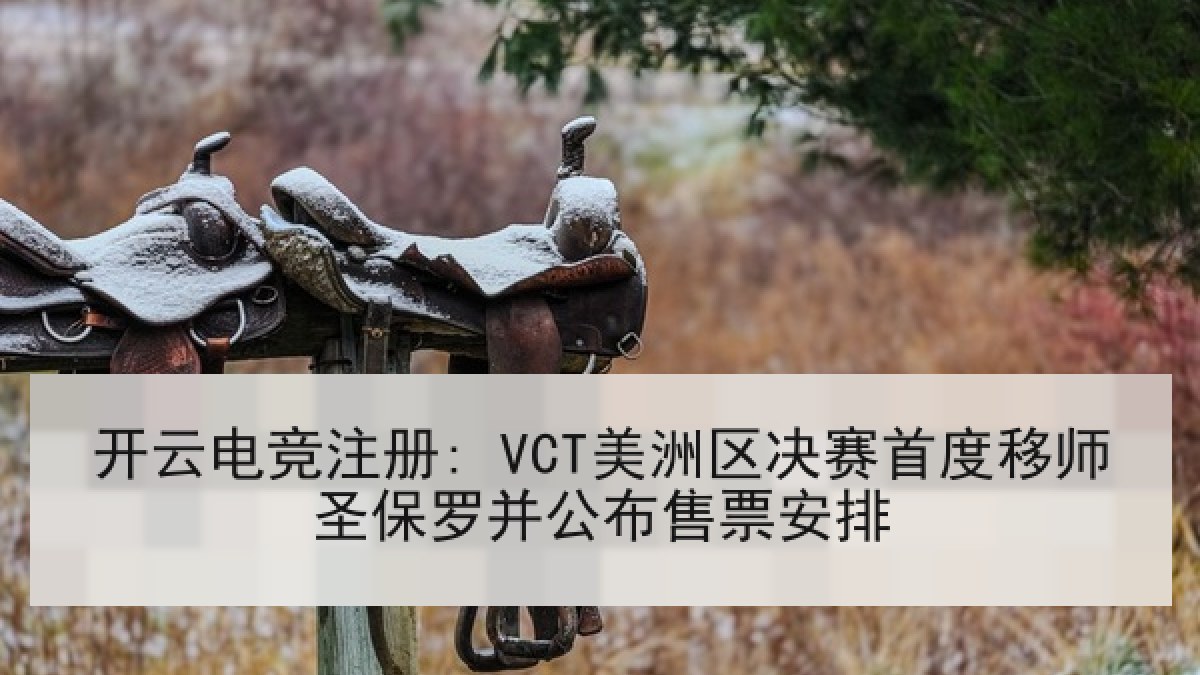开云电竞注册: VCT美洲区决赛首度移师圣保罗并公布售票安排
