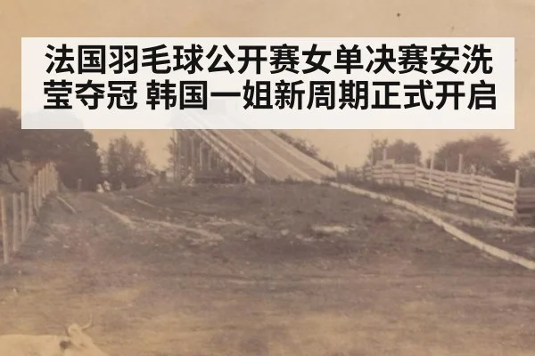 法国羽毛球公开赛女单决赛安洗莹夺冠 韩国一姐新周期正式开启