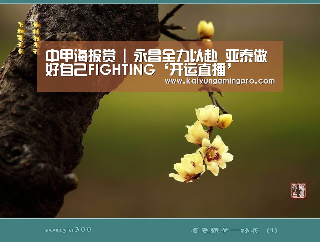 开运下载