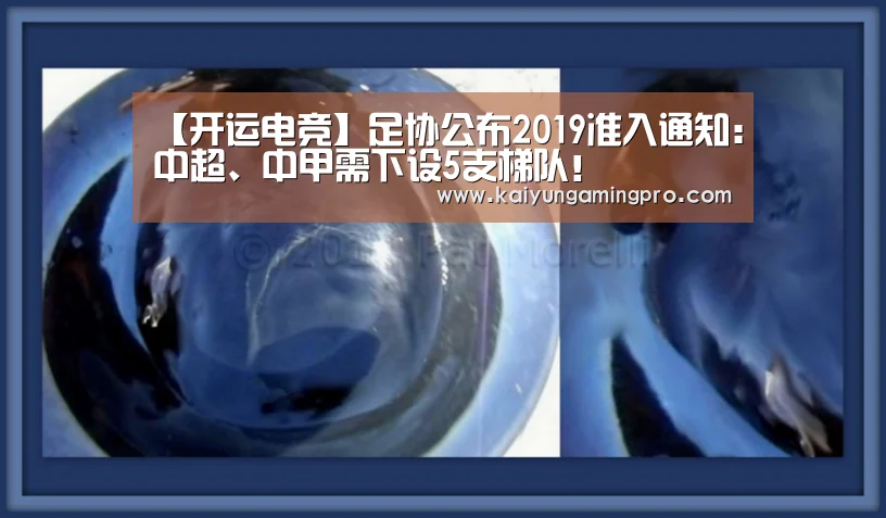 【开运电竞】足协公布2019准入通知:中超、中甲需下设5支梯队!(图1) 开运下载